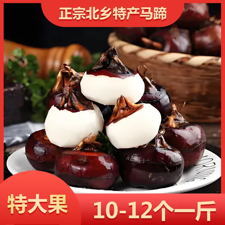 正宗乐昌北乡鲜马蹄荸荠鲜甜现挖即食多汁无渣当季新鲜特大果