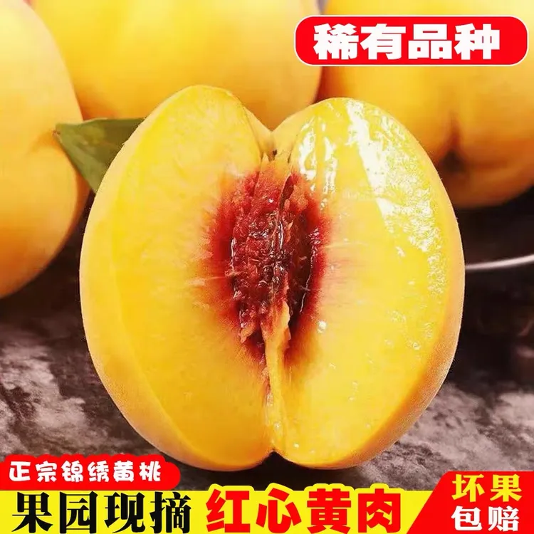 湖北头茬锦绣黄桃新鲜当季水果脆甜爆汁产地直发孕妇小孩水果整箱