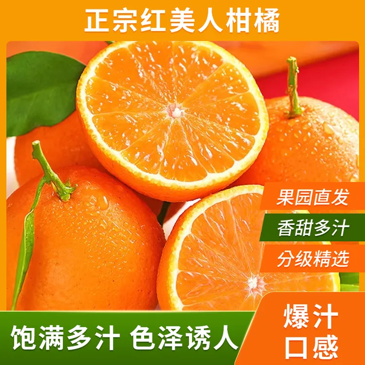 顺丰包邮当季红美人橙子现摘现发十斤礼盒（新藏蒙黑吉限售）