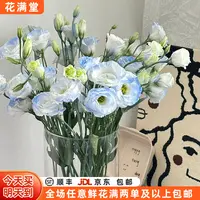 特价【次日达.碎冰蓝洋桔梗一把】家居花·鲜切花·两单鲜花顺丰京东包邮次日达·基地直发·批发·鲜花次日达