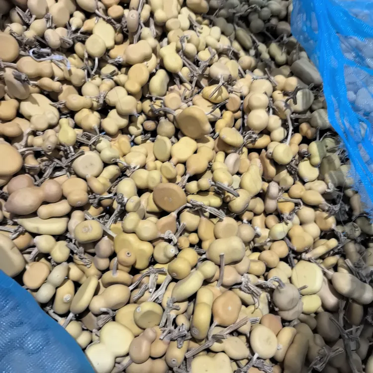 葫芦直播间专属链接（一物一拍）