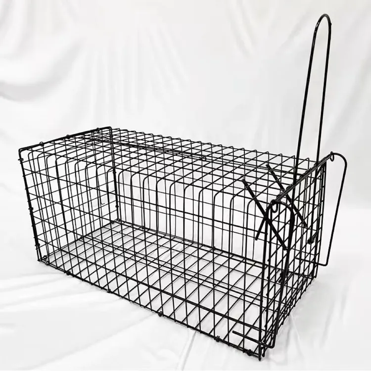 全自动抓猫抓狗诱捕训狗训犬笼加大加厚加固用于人道救助