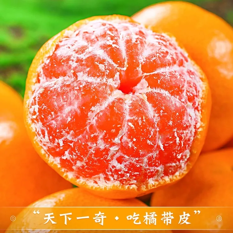 【正宗临海涌泉蜜桔】当季新鲜水果浙江临海涌泉蜜橘高山种植鲜甜