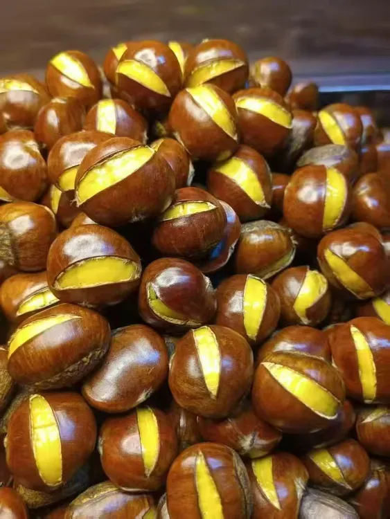 山东五莲板栗新鲜板栗当地野生栗子自然熟笨栗子光栗子黄心甜糯