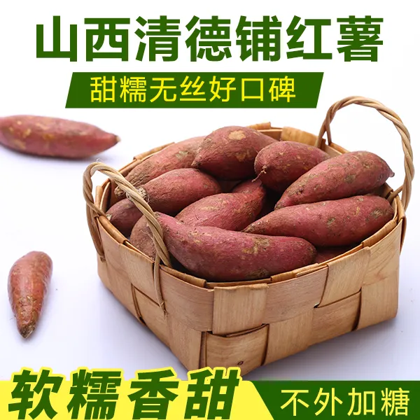 【清德铺红薯中大果】正宗黄心蜜薯软糯香甜新鲜现挖红薯粗粮