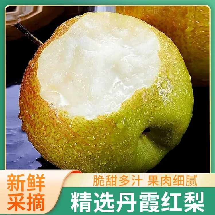 山西运城丹霞红香梨 新鲜酥脆大果品质甘甜爽口口感味美细腻汁水