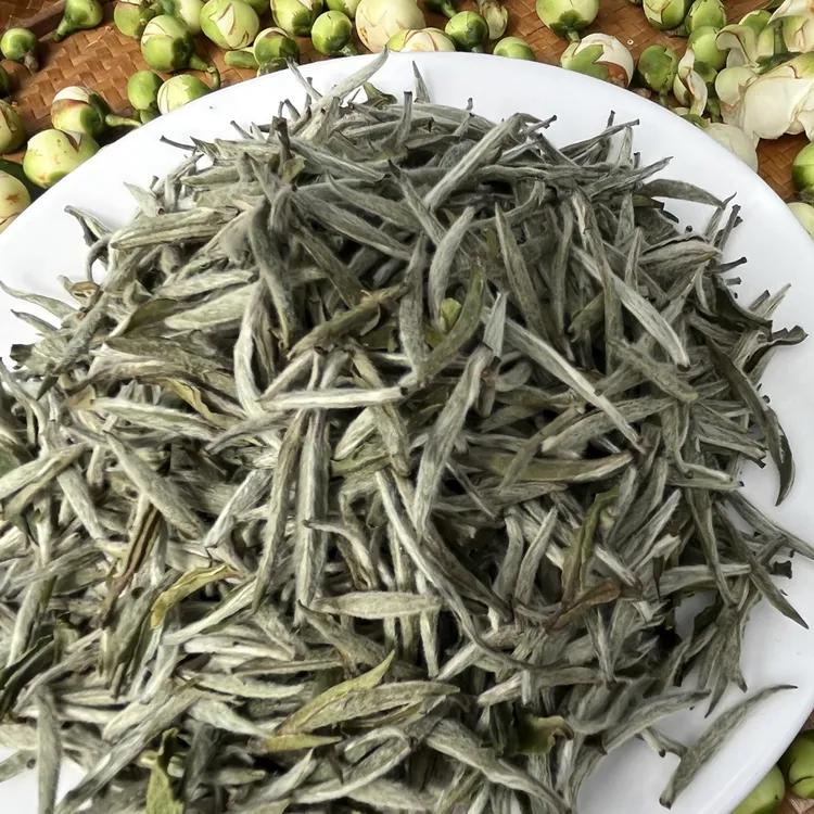 【新芽】2025年/福鼎白茶/白毫银针/磻溪产区