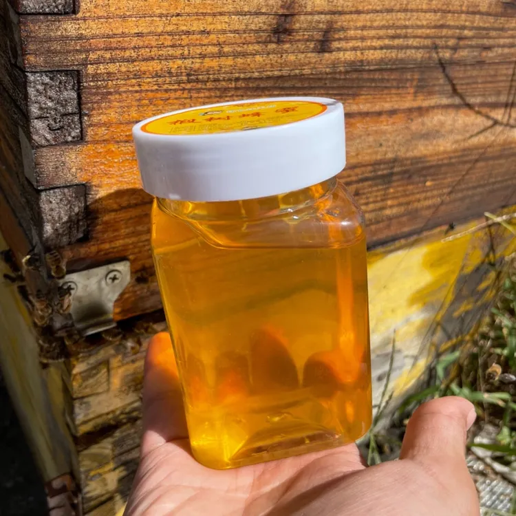 【蕾蕾推荐】椴树蜂蜜4瓶