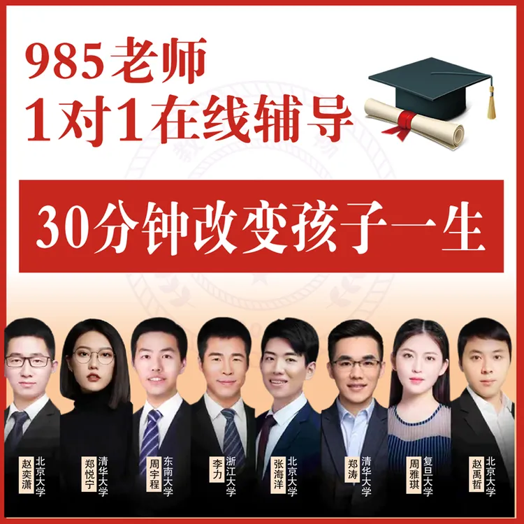 线上一对一专业中网课在线指导思维训练知识服务网上学业规划指导商品图