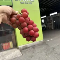 妮娜皇后3串净3斤
