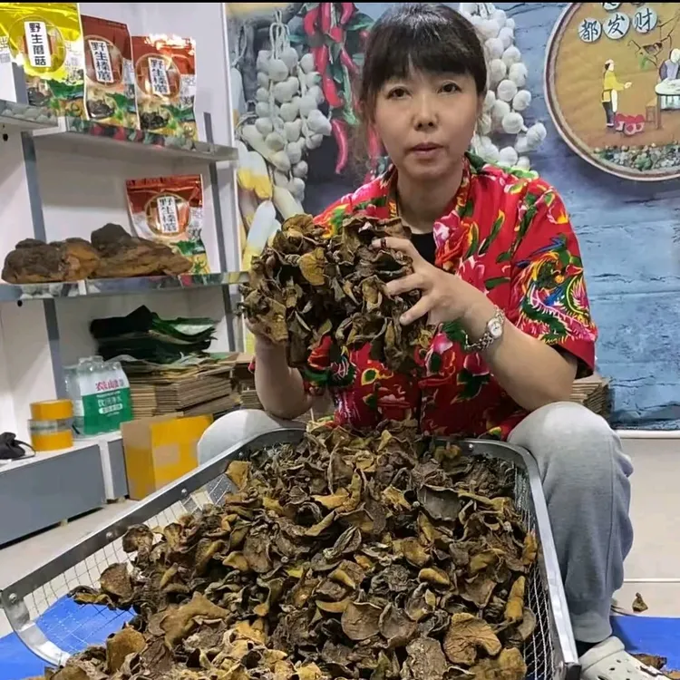东北特产野生松蘑粘团子粘蛾子粘窝子