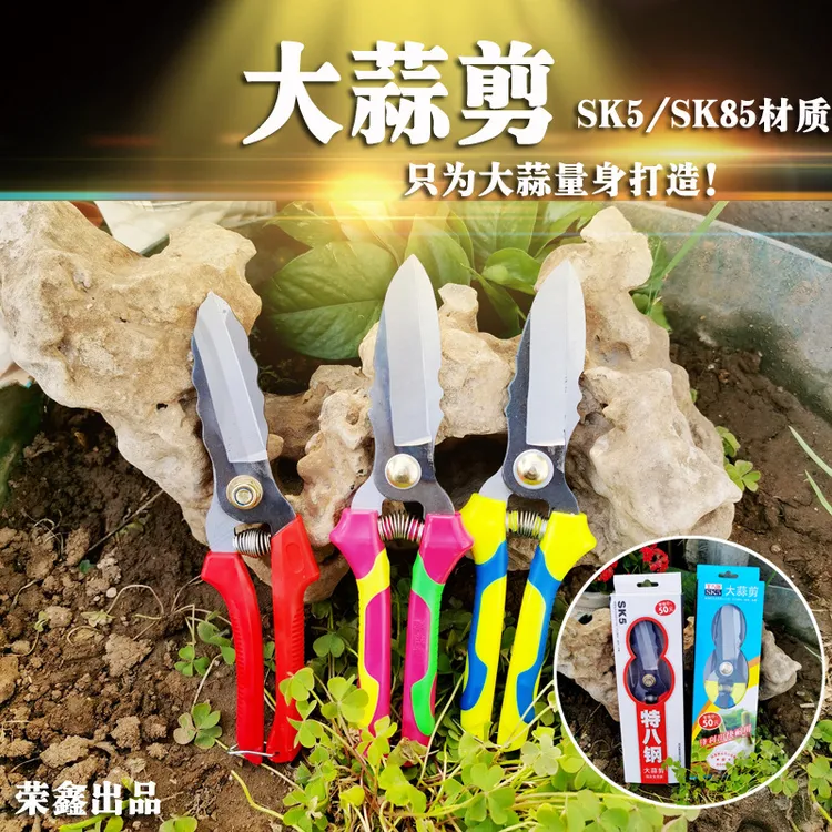 农用工具新款盒装洋葱蒜头剪刀SK5弯把蒜剪SK85双色直柄大