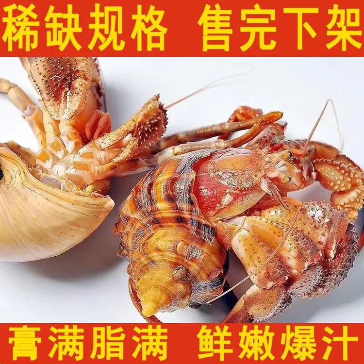 带壳虾怪3斤 保鲜不保活 山东大连特产顺丰包邮