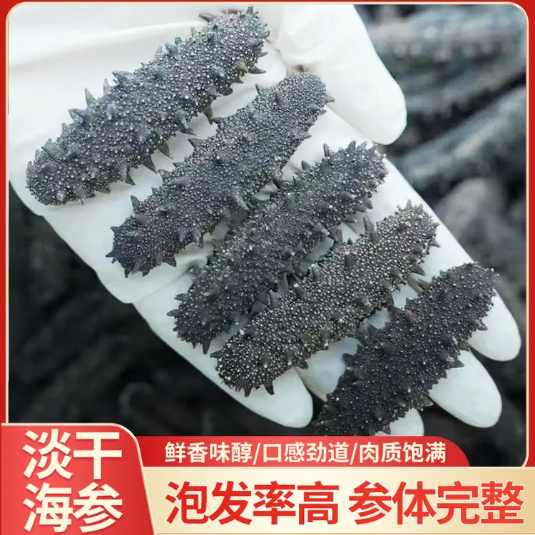 【尝鲜款】限定款淡干海参  正宗辽参刺参  高泡发  顺丰包邮 