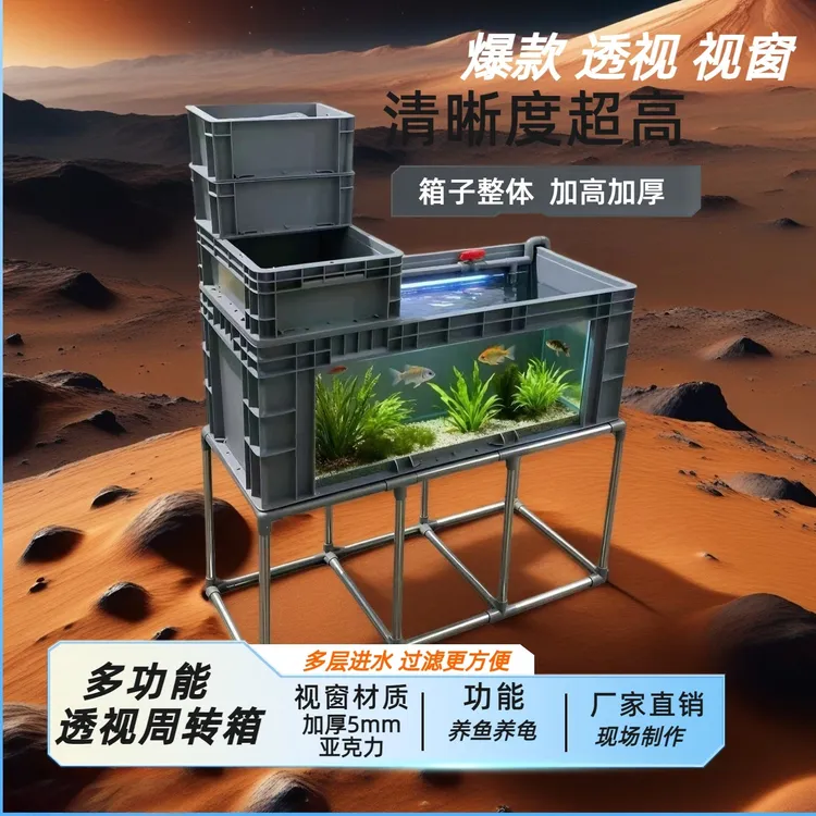 大号循环透视周转箱视窗周转箱全体循环养鱼养龟