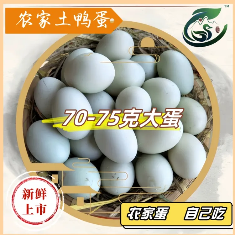 溱水畔湖边散养鸭蛋农家土鸭蛋新鲜现捡当天发货青壳青皮生鲜鸭蛋