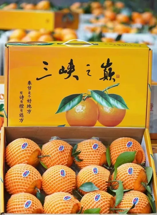 奉节草堂脐橙（纽荷尔）