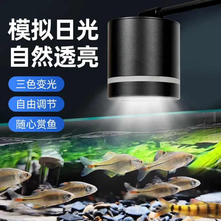 原生溪流缸灯鱼缸生态暴藻LED灯全光谱筒灯射灯鱼缸观赏鱼灯