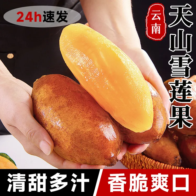 正宗云南天山雪莲果新鲜水果当季应季特级斤10装孕妇大果红泥包邮