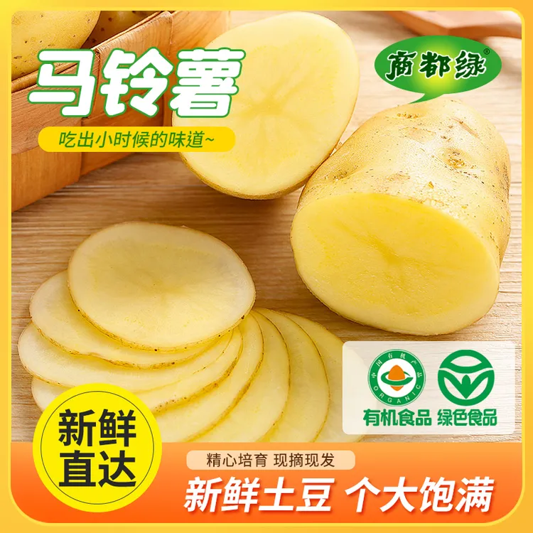 【小腾歌专属】【商都绿】内蒙古2025年绿色有机黄皮黄心沙面土豆现挖现发马铃薯