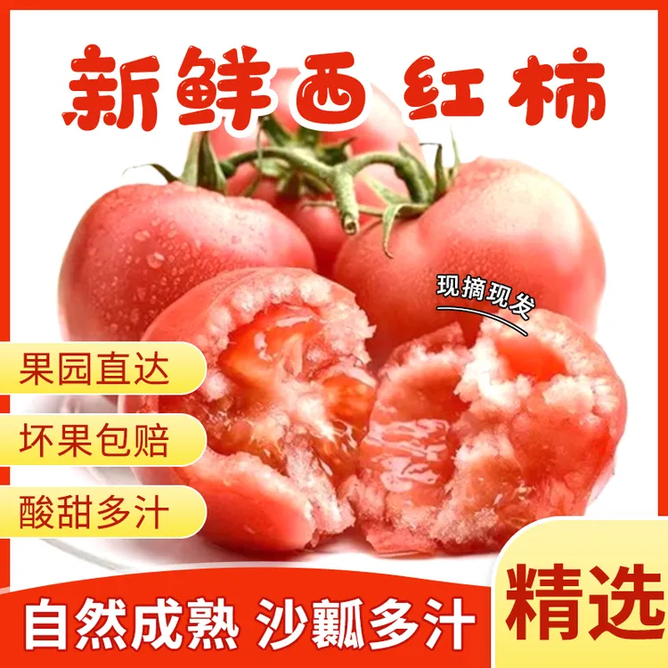 四川水果西红柿自然成熟沙瓤多汁可生吃