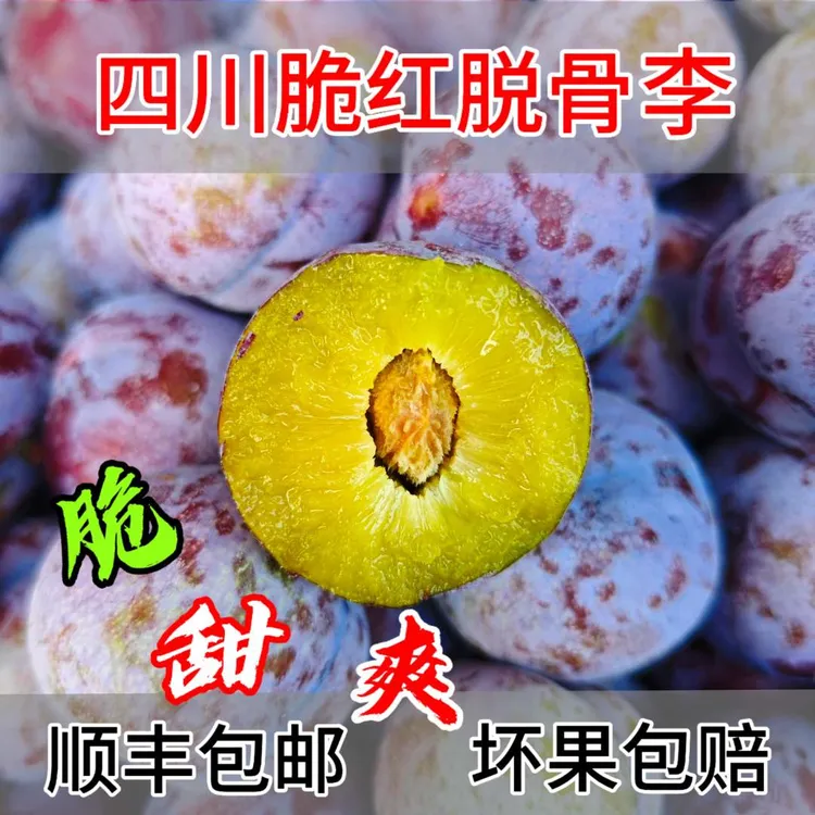 李子四川高山脆红李现摘脱骨李新鲜应季水果3/5斤顺丰包邮翠红李