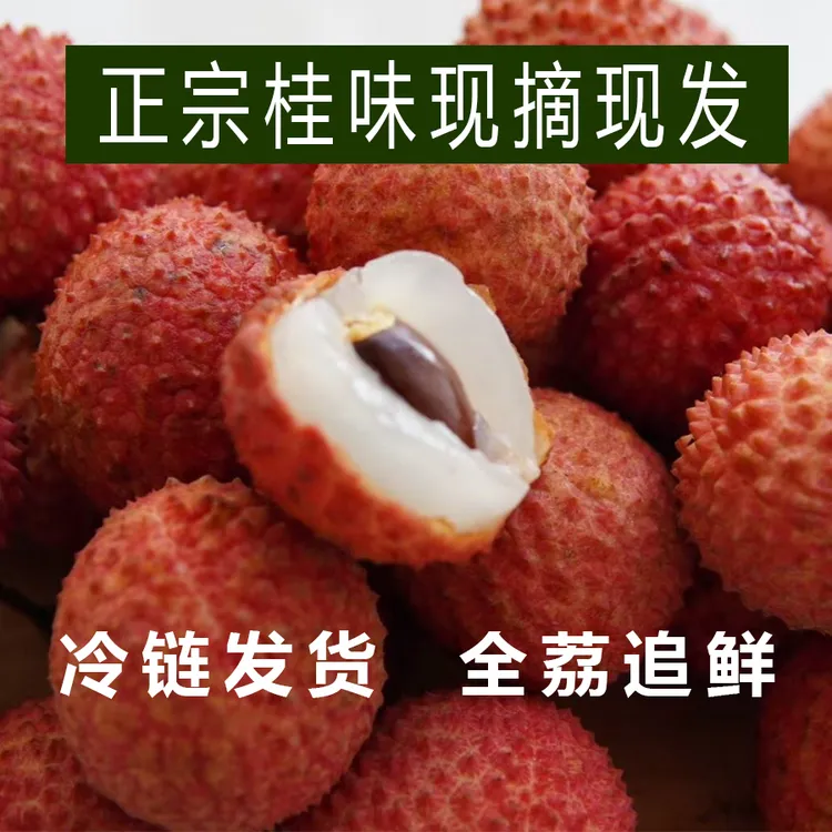 【正宗桂味】广东罗浮山桂味荔枝5斤3斤装新鲜现摘老树荔枝顺丰空运