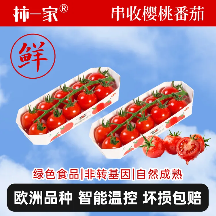 【柿一家】串收樱桃樱桃123g/盒新鲜自然采摘优质水果小番茄圣女果商品图