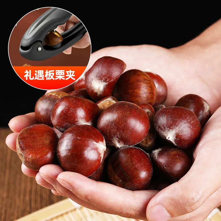 【品质推荐】云南高山老树新鲜板栗3斤4.5斤可蒸烤煎煮TY