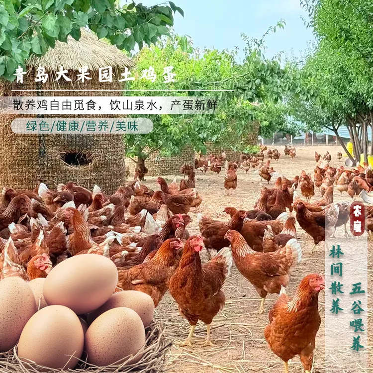 【40枚粉壳土鸡蛋】农家纯粮林间散养土鸡蛋溜达鸡现捡现发顺丰包邮