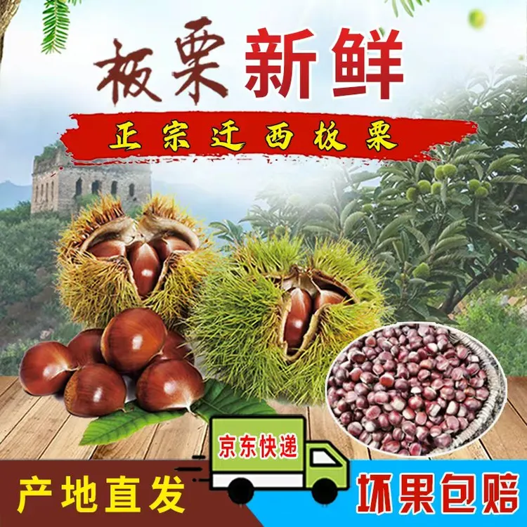 2025年新下树迁西板栗3113 迁西汉儿庄3113母树产地直发