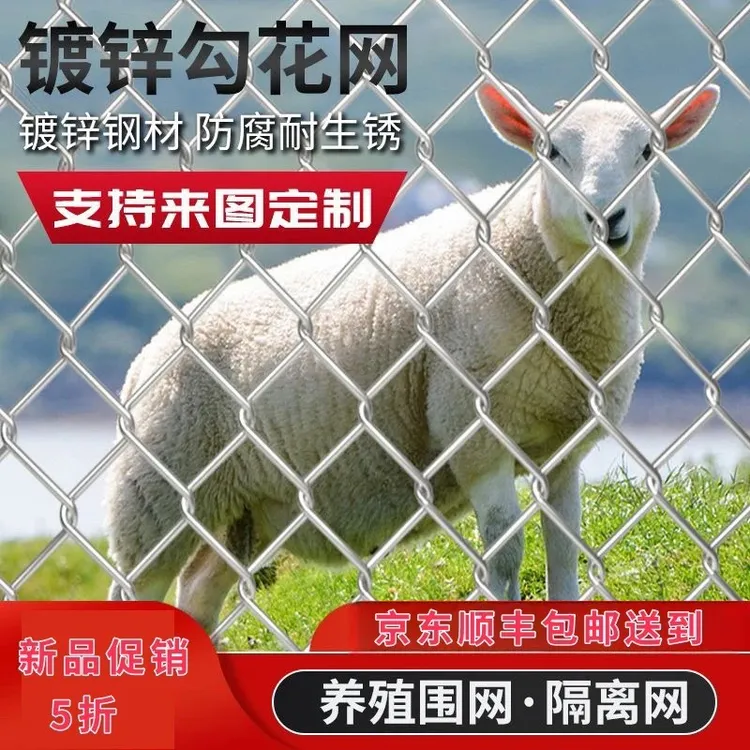 不锈钢勾花网菱形边坡防护镀锌铁丝钢丝隔离围栏果园围栏网防护网