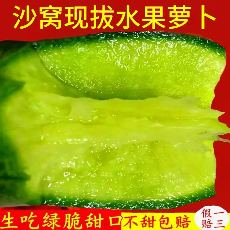 天津沙窝村现拔水果萝卜青萝卜生吃甜脆新鲜蔬菜特价非潍坊萝卜