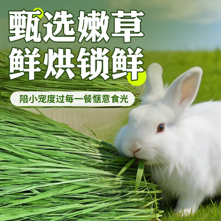 烘干小麦草小宠食用牧草兔子龙猫荷兰猪仓鼠磨牙草段营养干草