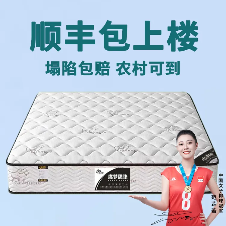 帝诗菲席梦思床垫十大品牌软硬两用20经济型乳胶椰棕弹簧家用租房