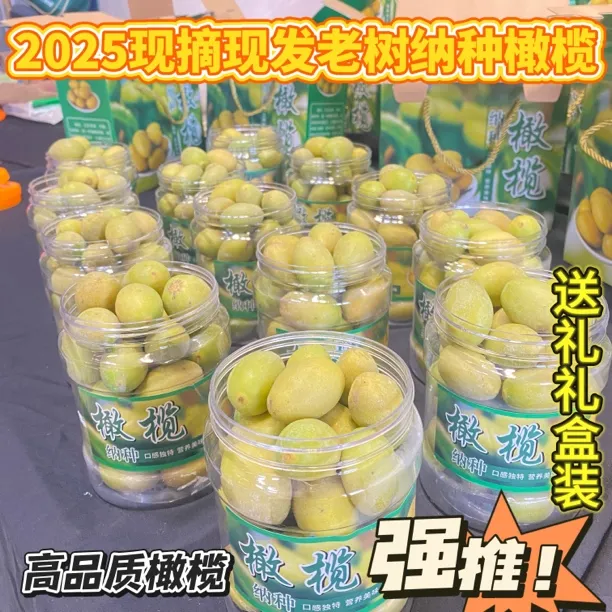 2025现摘现发新鲜采摘老枞纳种橄榄美味多汁回甘无渣一斤装二斤