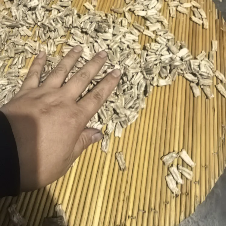 超大八宝种子，6粒一组，自己用不了这么多，出一部分