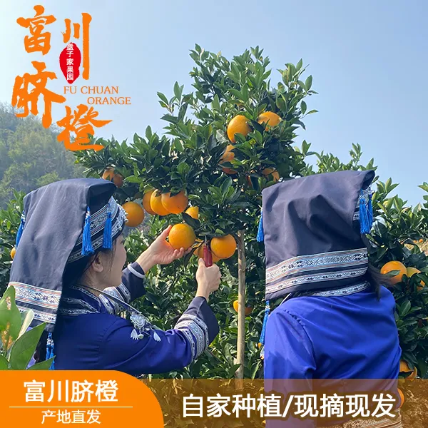 正宗广西富川脐橙/自家种植/现摘现发/不打甜蜜素  橙香味浓