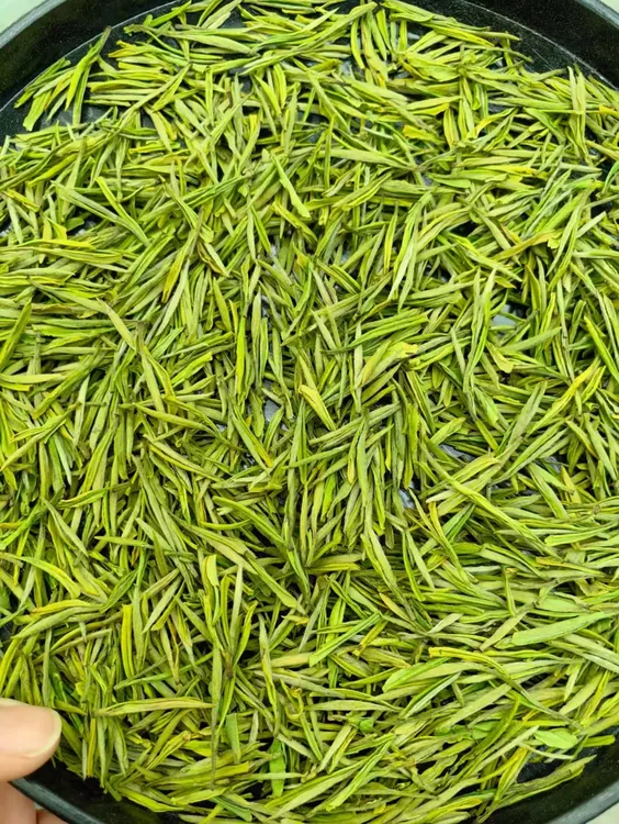 昆铜A88兰香小芽 新人福利2025安吉白茶特级原产地自饮高山绿茶