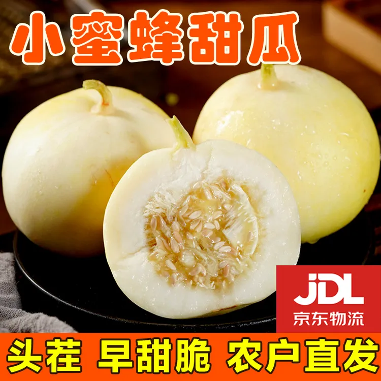 【EMS空运】小蜜蜂甜瓜产地直发早甜脆现摘现发坏果包赔甜脆新鲜