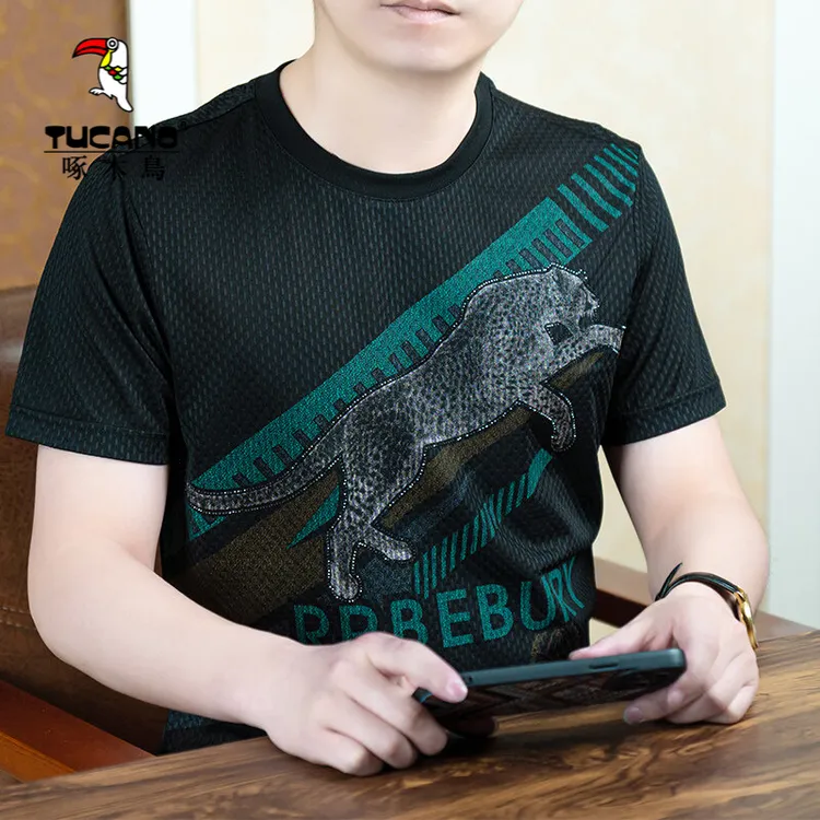 啄木鸟T恤衫高级感男装新青宽松修身透气短袖电动车上衣半袖炸街