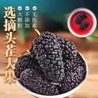 云南高原家乡特产黑桑葚干150g/罐干桑葚软糯