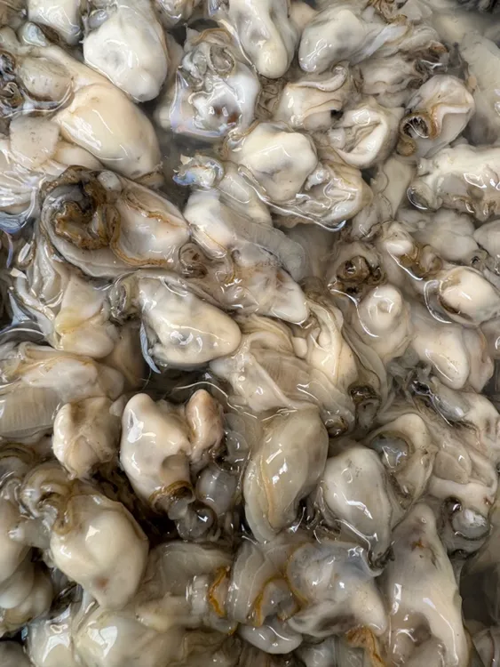 野生小海蛎子肉田横海蛎子肉