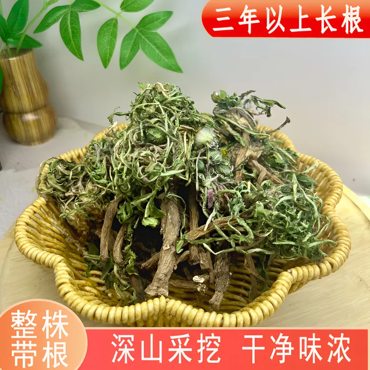 深山蒲公英自然晒干泡水泡茶婆婆丁新鲜晒干