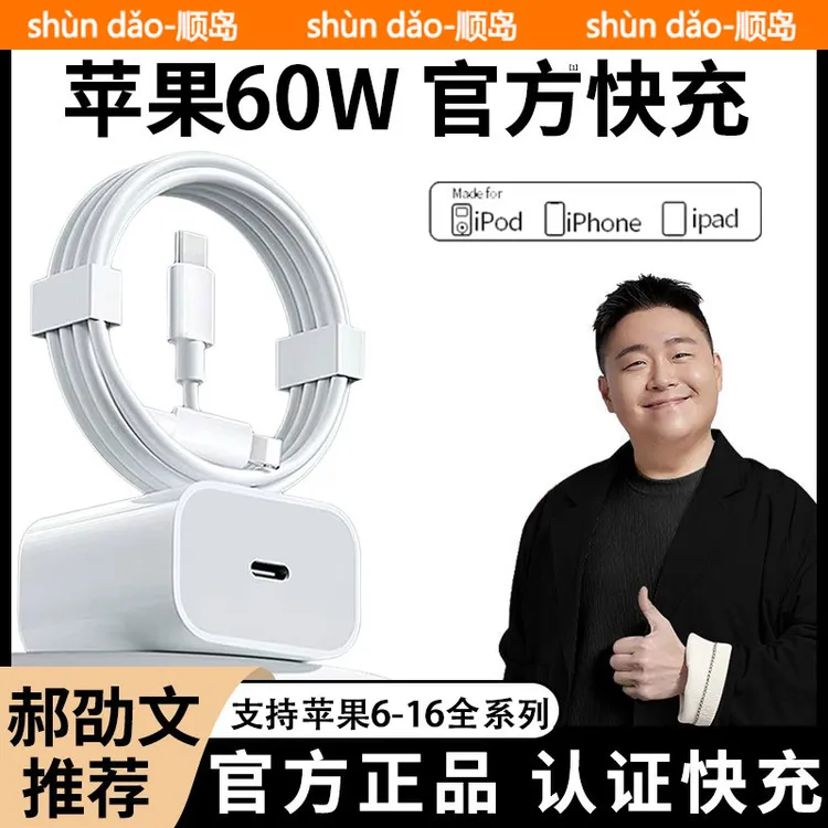 适用苹果60W充电器16/15快充数据线PD头正品iphone14promax原装13