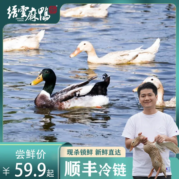 缙雲麻鸭正宗地标缙云仔麻鸭每只1000g 生态新老包装随机发货