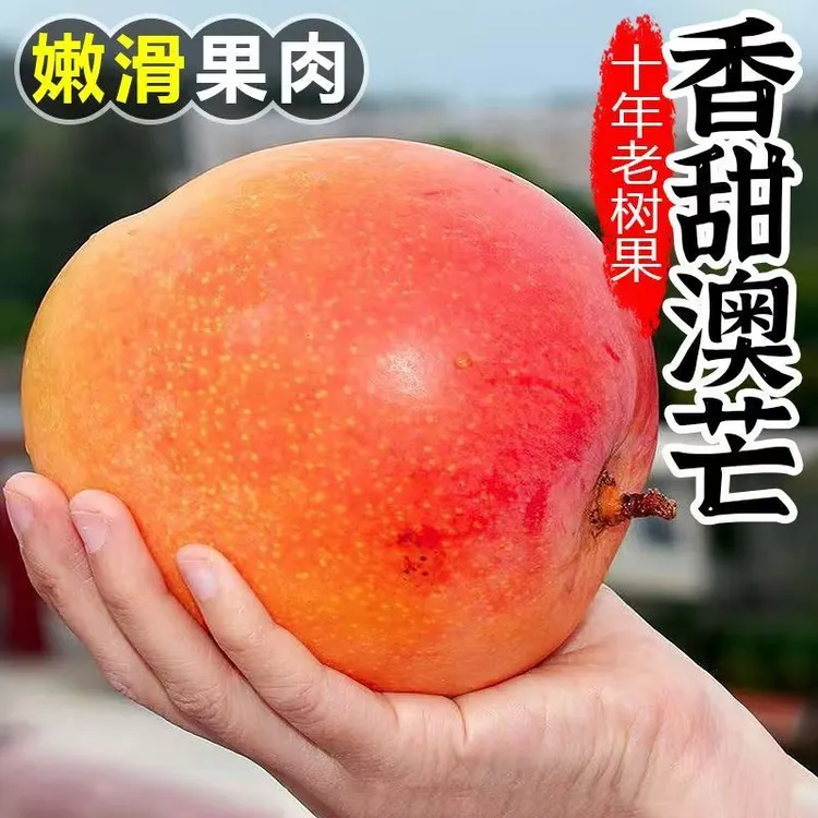 【姐妹专属】云南红玉澳芒苹果芒新鲜应季水果软糯香甜现摘水果应季商品图