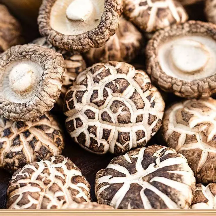 精选花菇干货肉厚无根干香菇营养美味可熬汤炒肉的优质食材