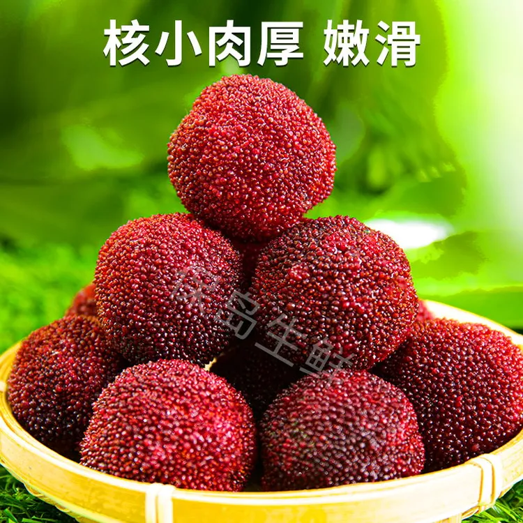 顺丰甄选【仙居杨梅】正宗仙居东魁杨梅4/6盒 新鲜水果杨梅大果