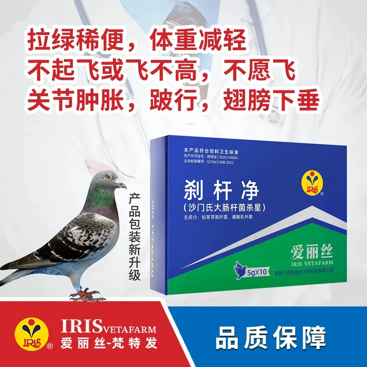 爱丽丝鸽药【沙门氏大肠杆菌杀星胶囊粉】赛鸽拉排黄白色稀便鸽子药